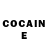 COCAIN Fish Scale Free Karpov