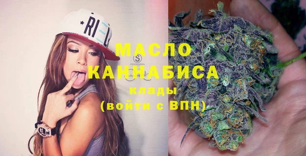 молекула духа Медвежьегорск