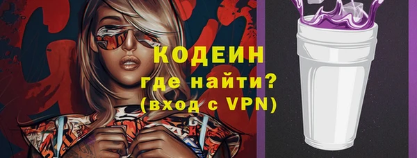 молекула духа Медвежьегорск